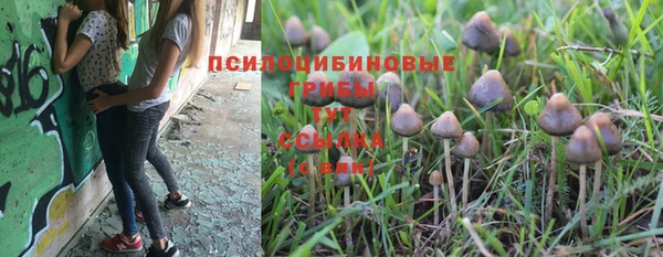 альфа пвп Дмитров