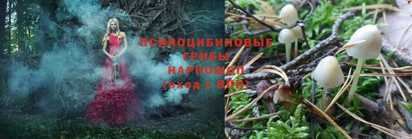 наркотики Дмитриев
