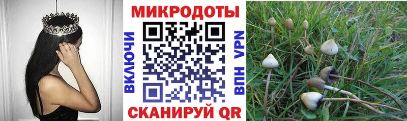 гидра ссылки  Иваново  Галлюциногенные грибы ЛСД 